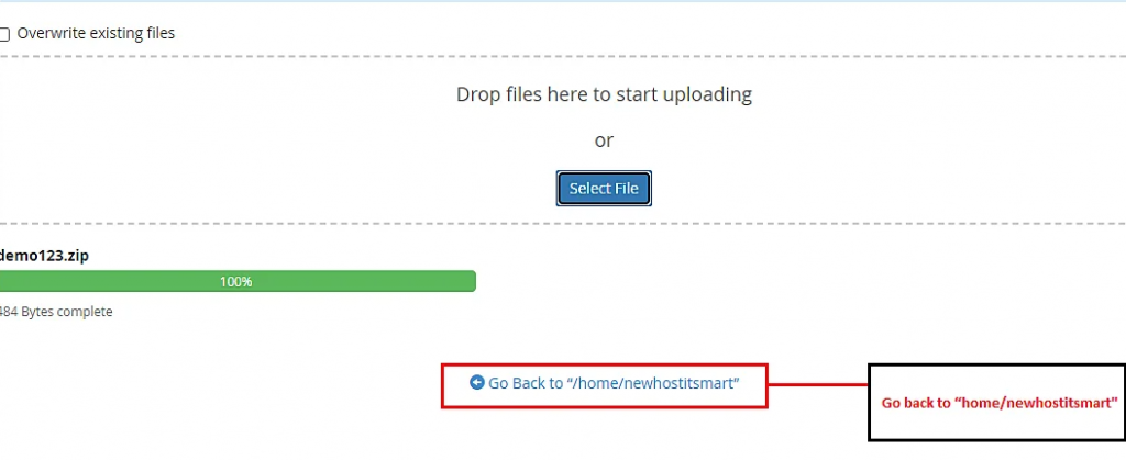 How To Install WordPress On VPS? 15 Go to Home page button