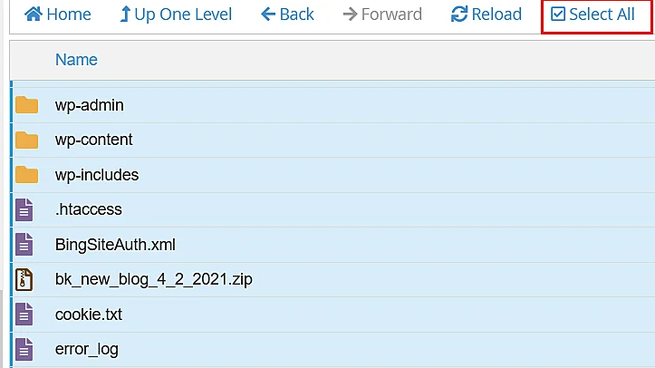 How To Install WordPress On VPS? 18 select WordPress extracted files in file manager