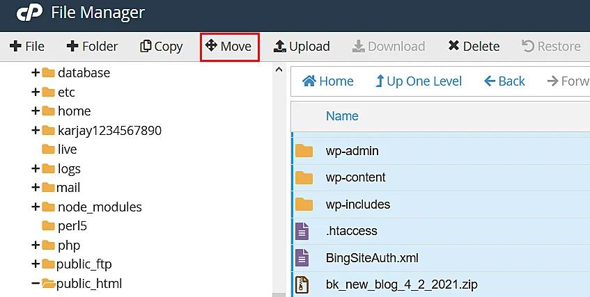 How To Install WordPress On VPS? 19 move WordPress extracted files in public HTML directory