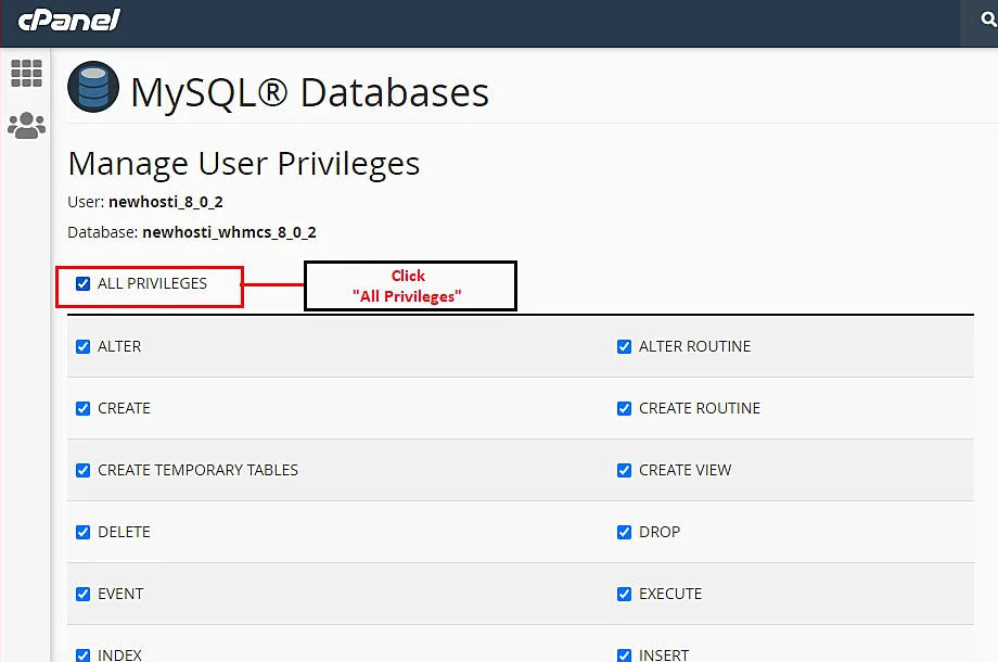 How To Install WordPress On VPS? 24 All Privileges option in MYSQL Database Wizard