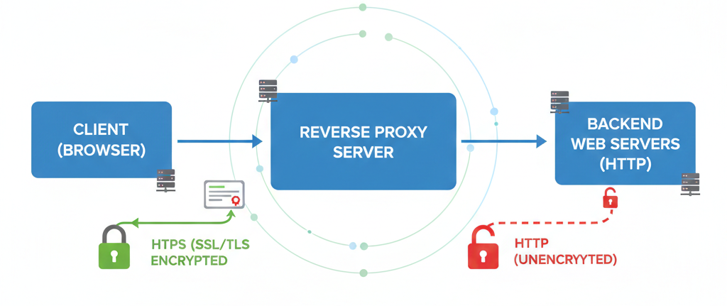 Securing the Reverse Proxy with SSL/TLS (HTTPS)
